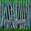 Zebras im Birkenwald (100x100)cm